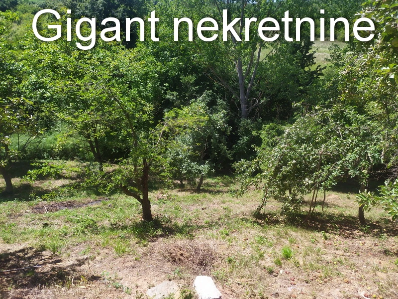 Prodaja vikendice na putu za Vukmanovo 9