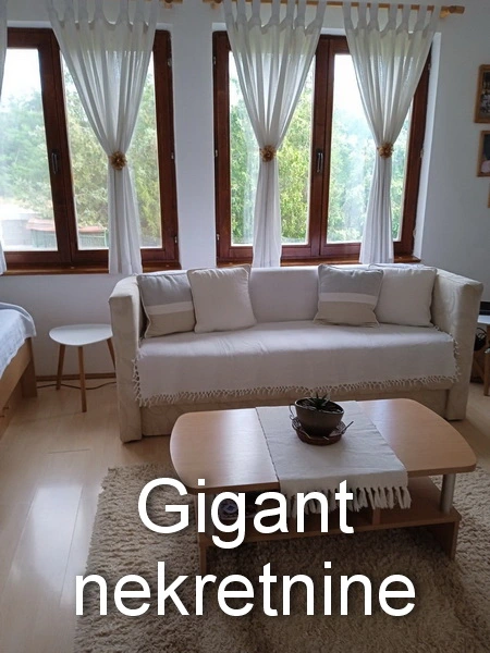 Prodaja kuce-Donje Vlase 6