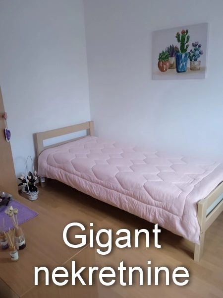 Prodaja kuce-Donje Vlase 4