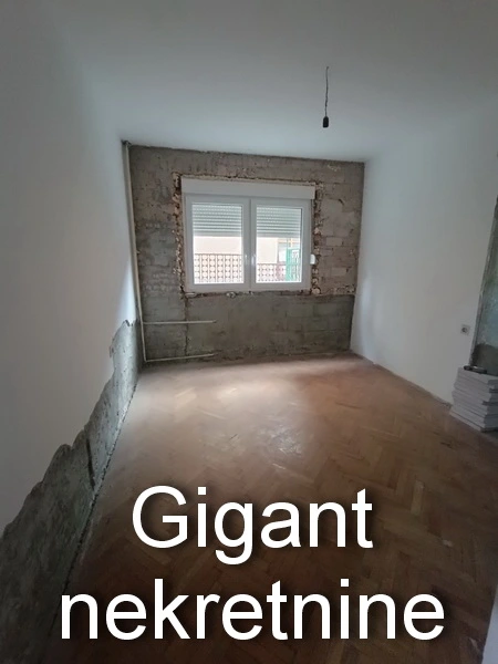 Prodaja kuce u Nišu 5