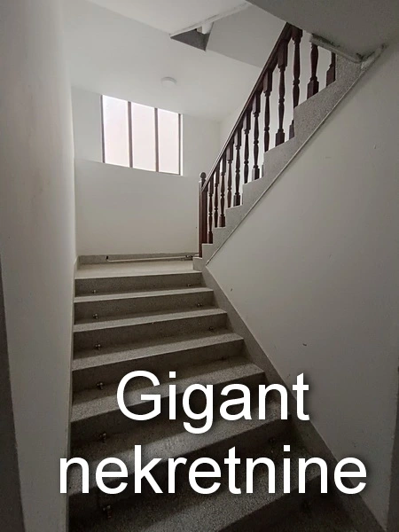 Prodaja kuce u Nišu 17
