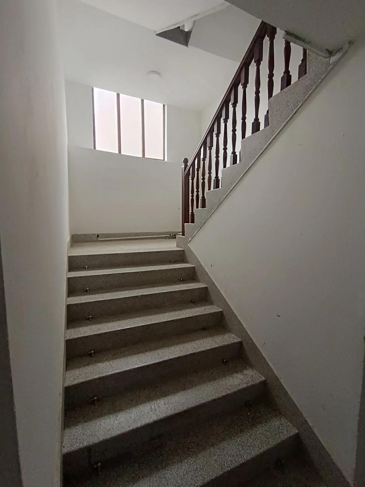 Prodaja kuce u Nišu 16