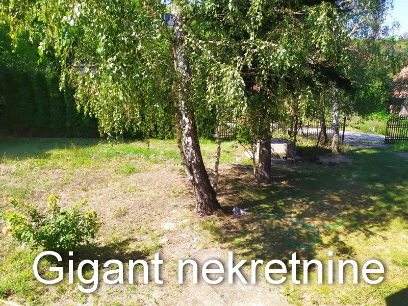 Prodaja kuce u Nišu 7