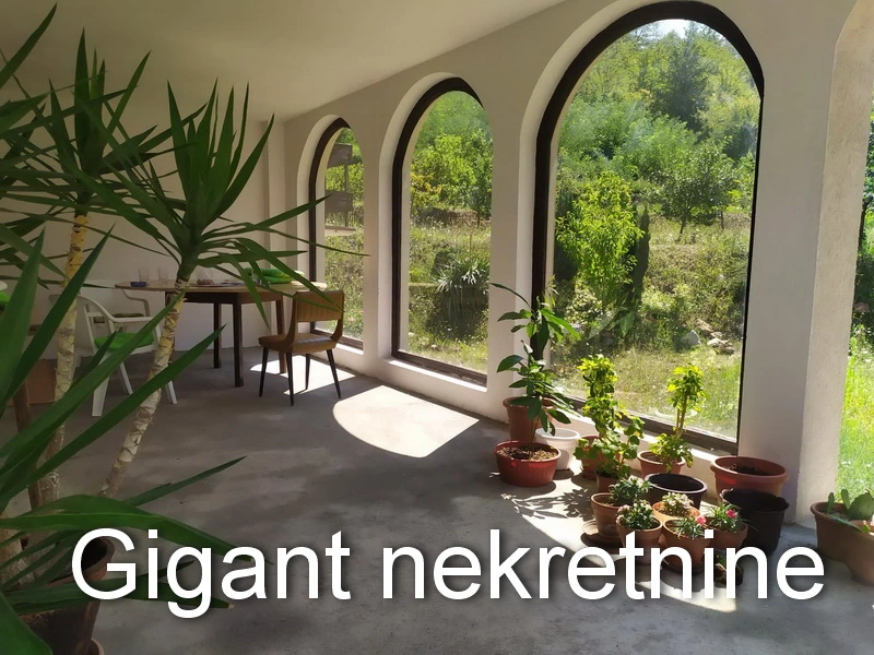 Prodaja kuce u Nišu 8