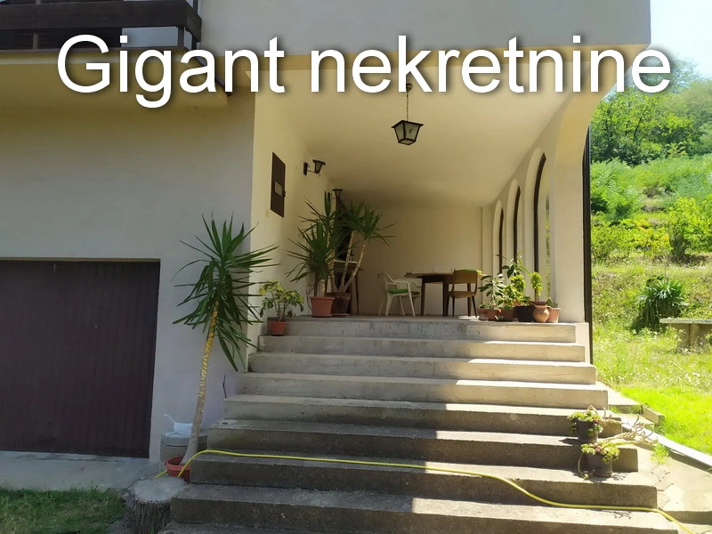 Prodaja kuce u Nišu 11
