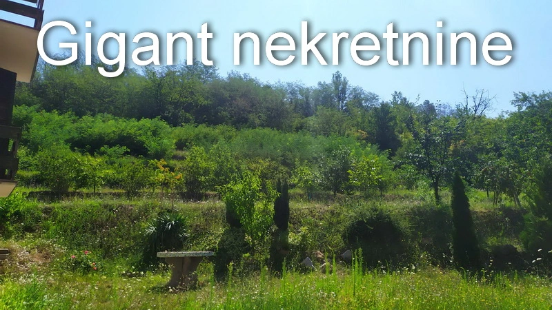 Prodaja kuce u Nišu 18