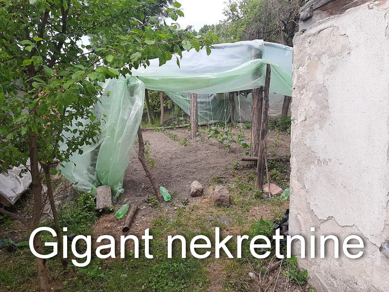 Prodaja kuce-Jošanica-Soko Banja 8