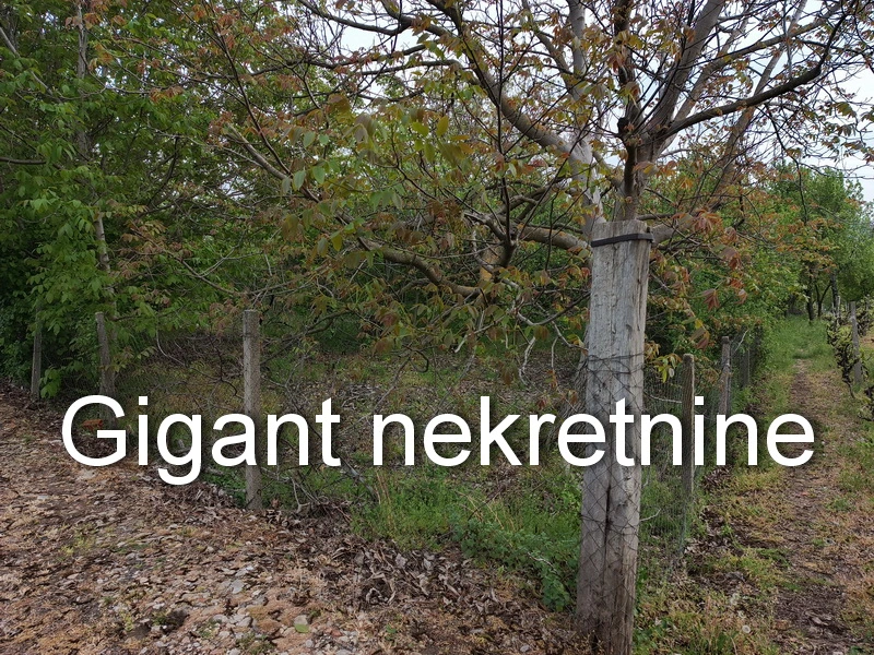 Plac na prodaju - Podvinik 3