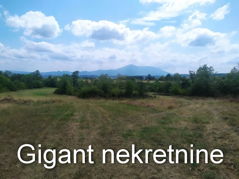 Prodaja zemljista u okolini Rtnja-Podgorac 11