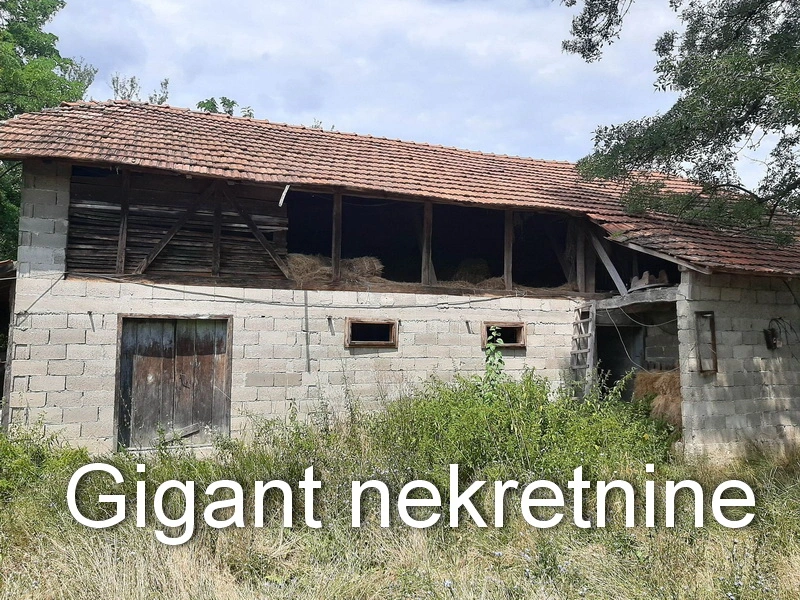 Prodaja zemljista u okolini Rtnja-Podgorac 7