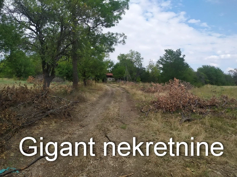 Prodaja zemljista u okolini Rtnja-Podgorac 2