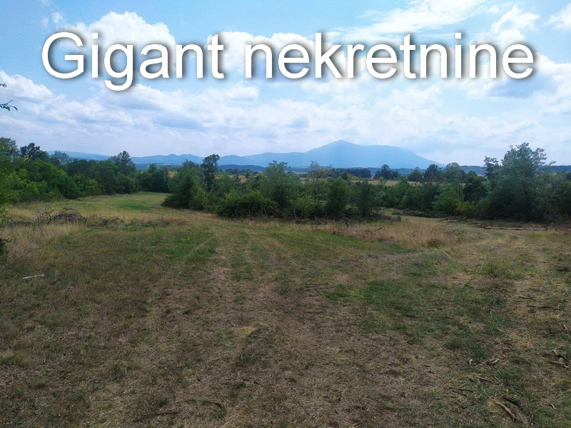Prodaja zemljista u okolini Rtnja-Podgorac 10