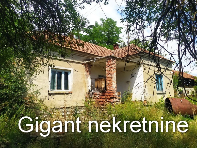 Prodaja zemljista u okolini Rtnja-Podgorac 4