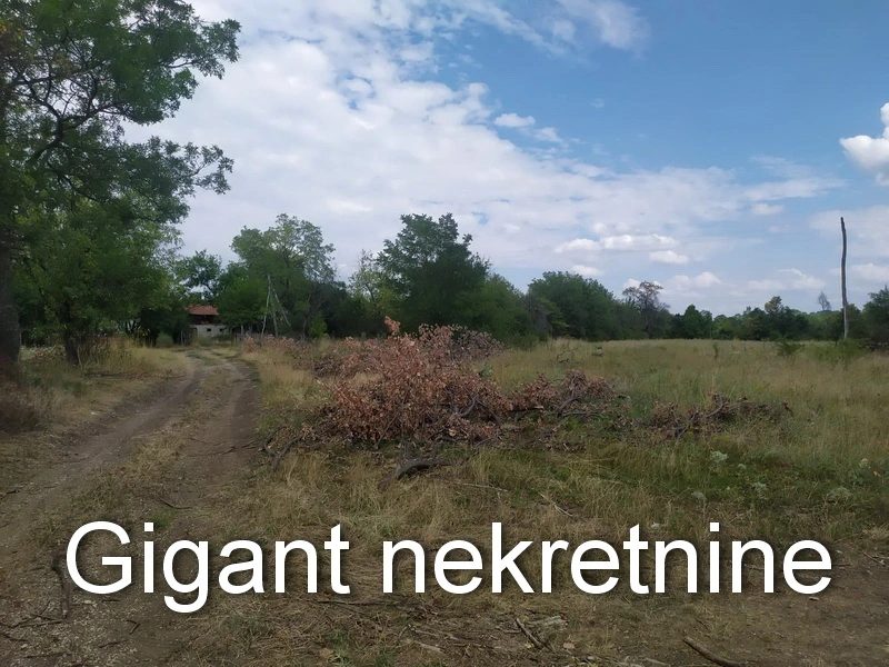 Prodaja zemljista u okolini Rtnja-Podgorac 6