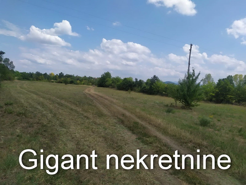 Prodaja zemljista u okolini Rtnja-Podgorac 15