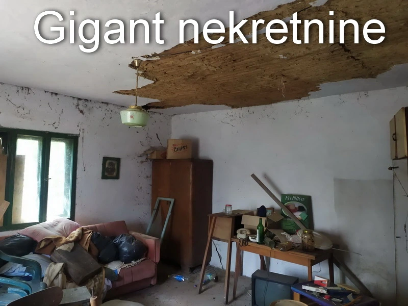 Prodaja zemljista u okolini Rtnja-Podgorac 5