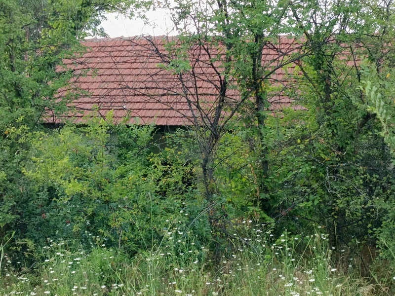 Prodaja placa u okolini Niša selo Aleksandrovo 4
