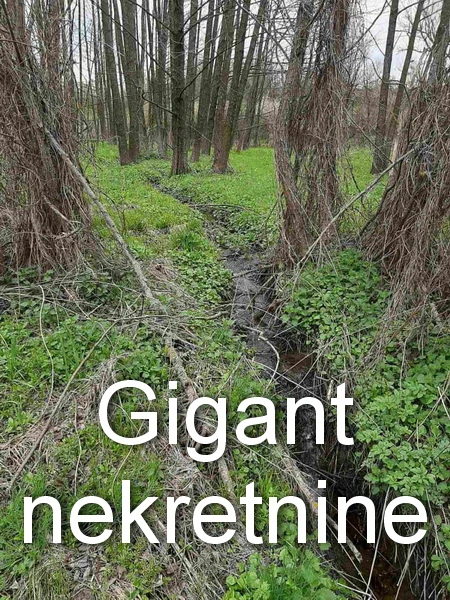 Preodaja zemljišta u okolini Rtnja 11