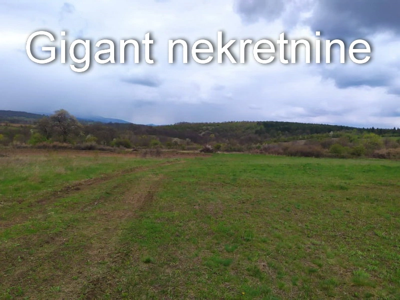 Preodaja zemljišta u okolini Rtnja 5