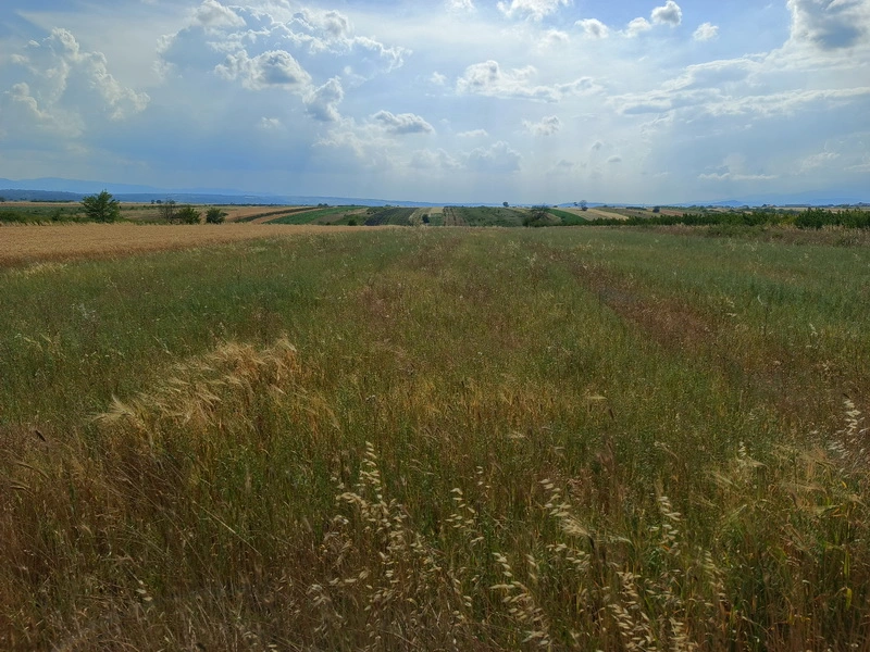 Prodaja zemljišta u okolini Niša-Aleksandrovo