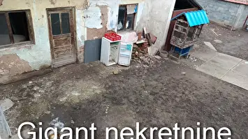 Prodaja kuće kod Buvlje pijace u Nišu 2