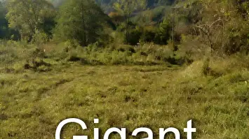 Prodaja placa na Tari-Zaovine 2