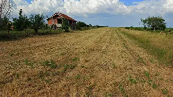 Prodaja zemljišta u okolini Niša-Aleksandrovo 2