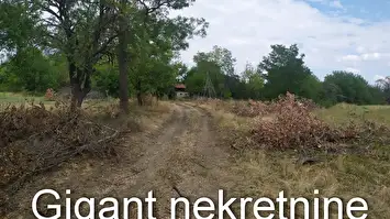Prodaja zemljista u okolini Rtnja-Podgorac 2