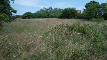 Prodaje se zemljiše na putu za Donje Vlase
