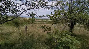 Prodaje se zemljiše na putu za Donje Vlase 3