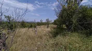 Prodaje se zemljiše na putu za Donje Vlase 2
