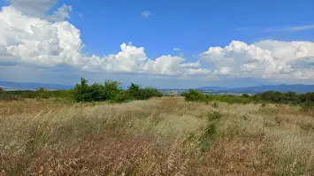 Prodaja zemljišta u okolini Niša-Aleksandrovo 3
